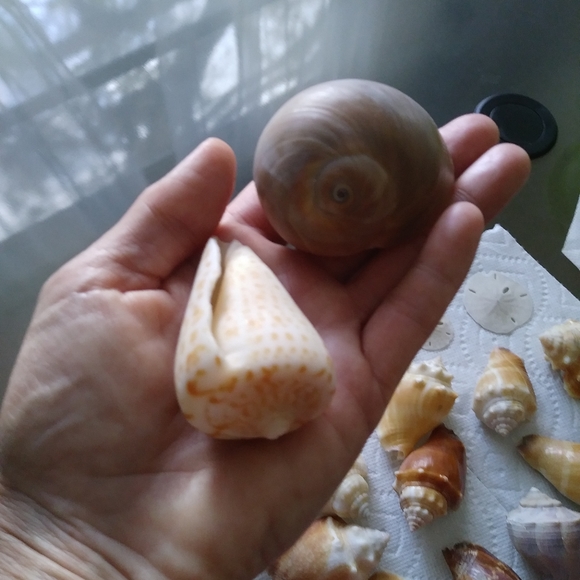 Welcome to my closet! - Picture 2 of 9